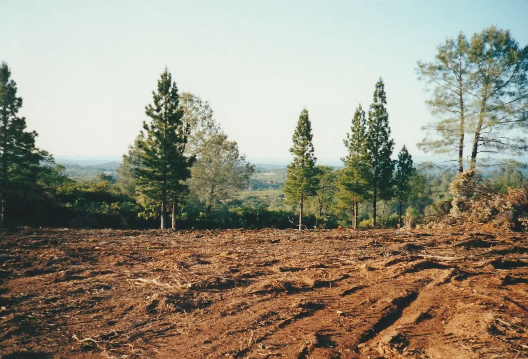 The Land Before the Yineyard